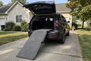 Dog Ramp for SUV and High Bed Access: A Simple Buying Guide