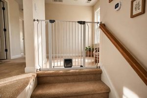 Pet Gate with Cat Door for Stairway Safety: A Complete Guide