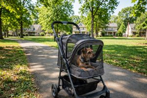 Pet Stroller for Small Dogs and Cats Travel: A Complete Buyer’s Guide