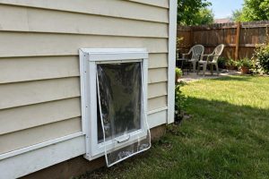 Best Pet Door for Wall Installation Large Dogs
