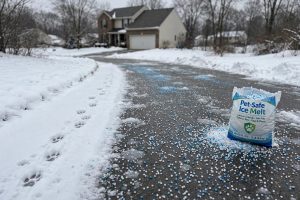 The Best Pet Safe Ice Melt for Driveways Dogs Owners Trust