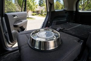 Dog Water Bowl No Spill for Car Travel: A Complete Guide
