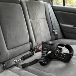 Dog Seatbelt Harness for Safe Car Travel in the USA: A Complete Guide