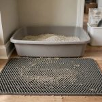 Cat Litter Mat to Trap Litter Tracking: A Complete Guide