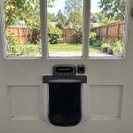 Best Automatic Pet Door for Large Dogs: A Plain Guide to Electronic Models