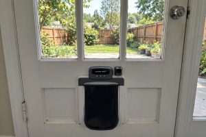 Best Automatic Pet Door for Large Dogs: A Plain Guide to Electronic Models