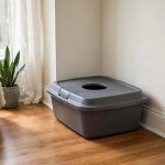 A Cat Litter Box with Top Entry for Dogs: What to Know Before You Buy