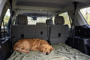 Dog Car Barrier for SUV Cargo Area Safety