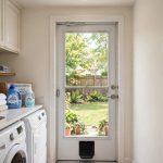 The Best Dog Door for Storm Door Installation