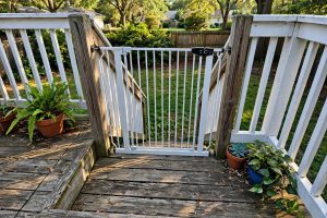 Best Pet Gate for Deck Stairs Outdoor Use