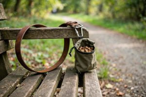 Best Dog Treat Pouch for Training Walks USA