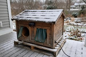 A Heated Outdoor Cat House for Multiple Cats: A Complete Guide