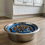 Best Slow Feeder Insert for Dog Bowl: A Guide for Fast Eaters