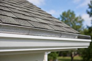 Seamless Gutter Guards Reviews and Buying Guide