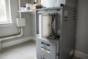 Best Air Filter for Allergies Reviews USA: A Plain Guide to Cleaner Air