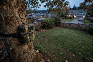 Best Trail Camera for Home Security USA: A Plain Guide