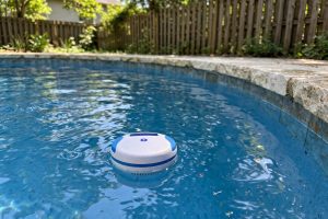 Smart Pool Monitor Reviews for Homeowners: A Clear Guide