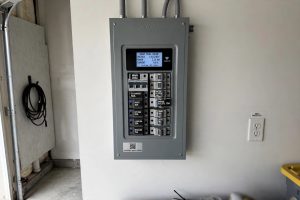 Smart Circuit Breaker Panel Reviews 2026 USA