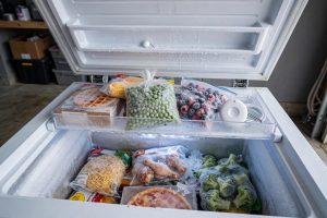 Best Temperature Sensor for Freezer Reviews USA