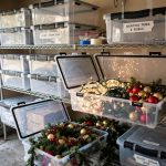 Waterproof Holiday Decoration Storage Boxes Buying Guide