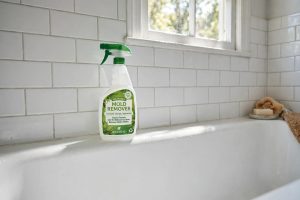 Eco Friendly Mold Removal Sprays With Free Shipping