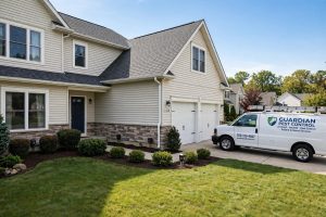 Top Rated Pest Control Service Plans Reviews: A Plain Guide for Homeowners