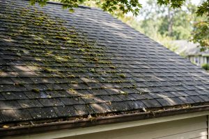 Quiet Roof Moss Removal Services Near Me