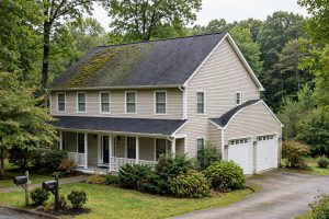 Best Roof Moss Removal Services Near Me: How to Find a Good One