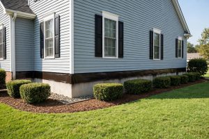 Powerful Pest Control Service Plans Near Me: How to Choose the Right One