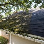 Reliable Roof Moss Removal Services in Texas: A Homeowner's Guide