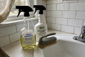 Best Mold Removal Sprays for Southern States: A Homeowner’s Guide