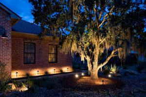 Landscape Spot Lights for Texas Homes USA: A Plain Guide