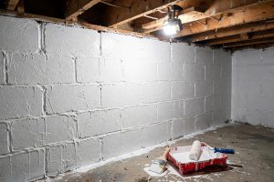 Basement Waterproofing Paint Reviews and Cost: A Plain Guide for Homeowners