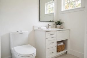 Dual Flush Toilet Pros and Cons Reviews USA: What American Homes Need to Know