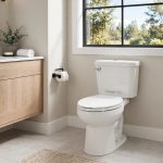 Pressure Assisted Toilet Pros Cons USA: What Every Homeowner Should Know