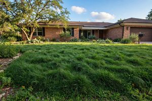 Buffalo Grass Seed for Texas Lawns: A Practical Guide for Hot, Dry Summers