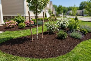 Affordable Mulch Installation Service Near Me: A Practical Guide