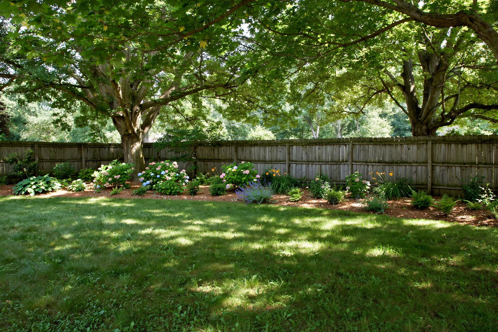 how to grow grass in shady areas: A healthy patch of green grass growing in a shaded American backyard