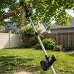 Best Cordless Pole Saw for Limbs: A Homeowner's Guide