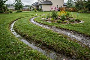 Lawn Drainage Solutions for Soggy Yards
