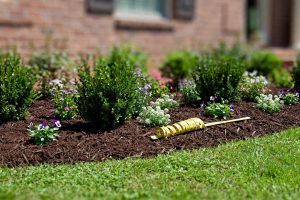 Landscape Mulch Calculator: How Much Mulch You Need