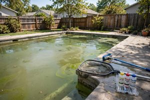 How to Clean Green Pool Water Fast: A Clear Guide