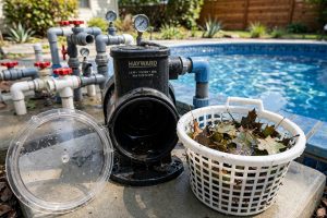How to Clean Pool Pump Basket