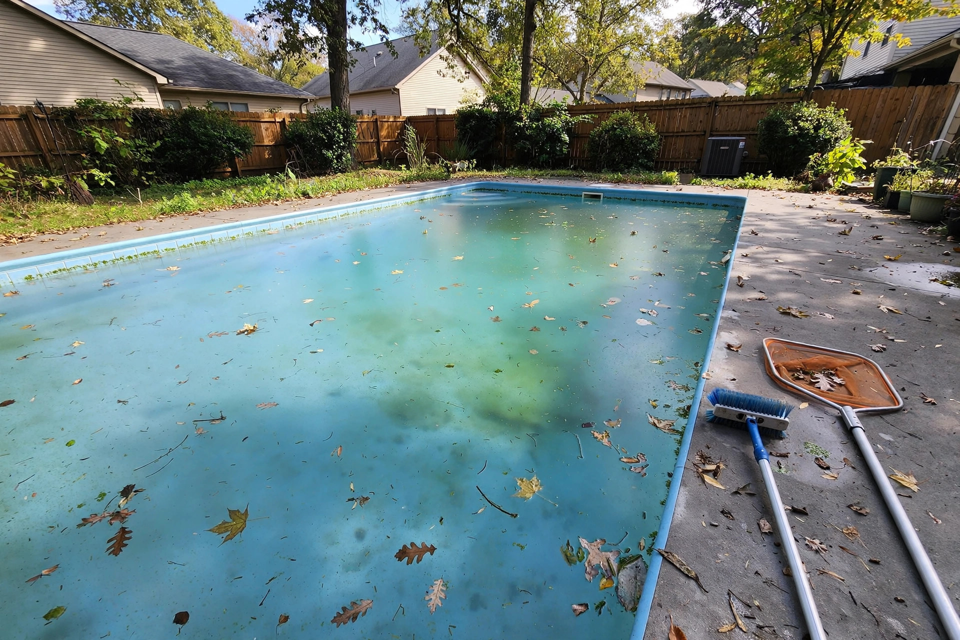 Green salt water pool before treatment with this salt water pool algae treatment guide