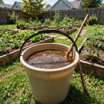 How to Make Compost Tea for Plants