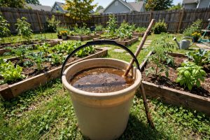 How to Make Compost Tea for Plants