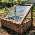 Cold frame plans for DIY builders showing a wooden box with a glass lid in a garden