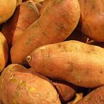 How to Grow Sweet Potatoes: Warm Guide