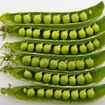 330px Peas in pods Studio