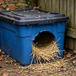 Warm Shelter for Neighborhood Strays: Insulated winter shelter for stray cats made from storage tote